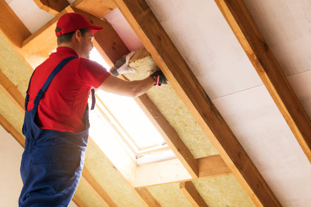 Types of Insulation We Offer in Homestead, PA